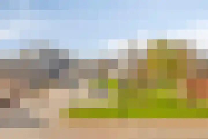 De Uitvang 12 Bergeijk thumbnail 19