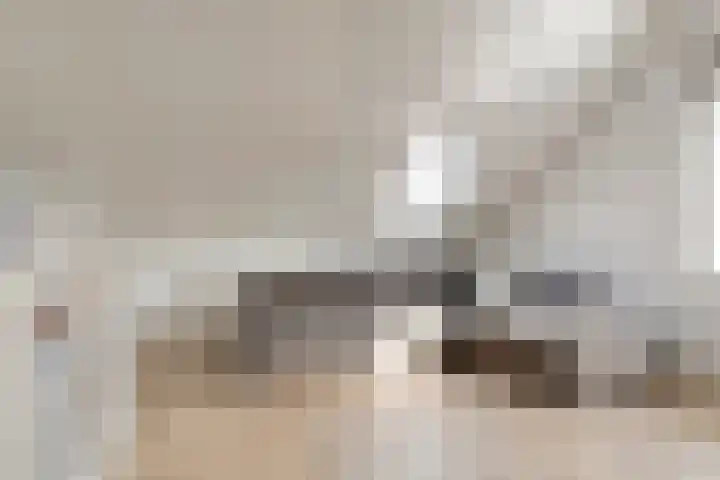 De Uitvang 12 Bergeijk thumbnail 23