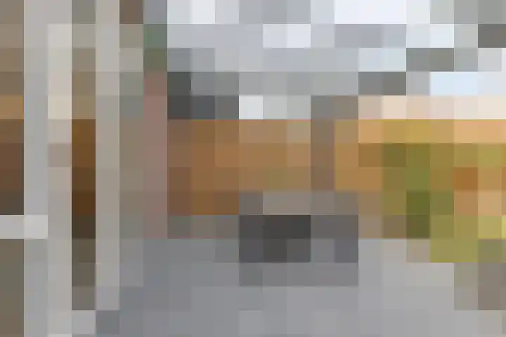De Uitvang 12 Bergeijk thumbnail 27
