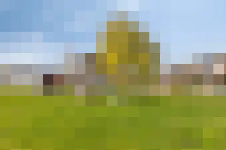 De Uitvang 12 Bergeijk thumbnail 32