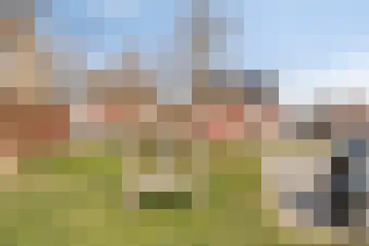 De Uitvang 12 Bergeijk thumbnail 34