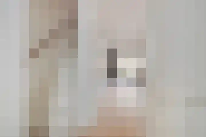 De Uitvang 12 Bergeijk thumbnail 4