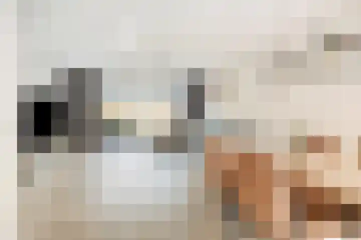 De Uitvang 12 Bergeijk thumbnail 5