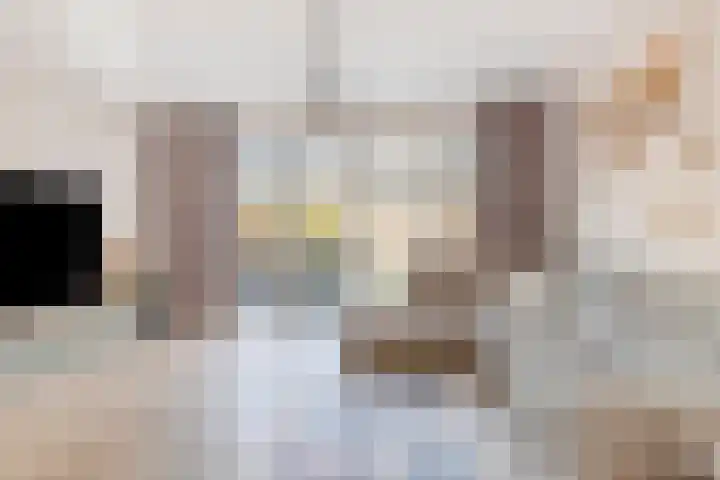 De Uitvang 12 Bergeijk thumbnail 7
