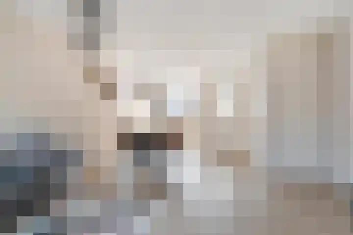 De Uitvang 12 Bergeijk thumbnail 8