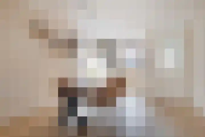 De Uitvang 12 Bergeijk thumbnail 9