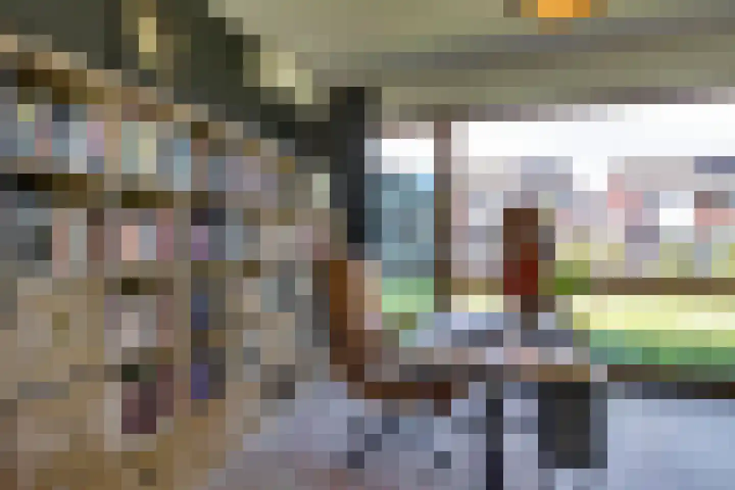 De Uitvang 31 Bergeijk thumbnail 13
