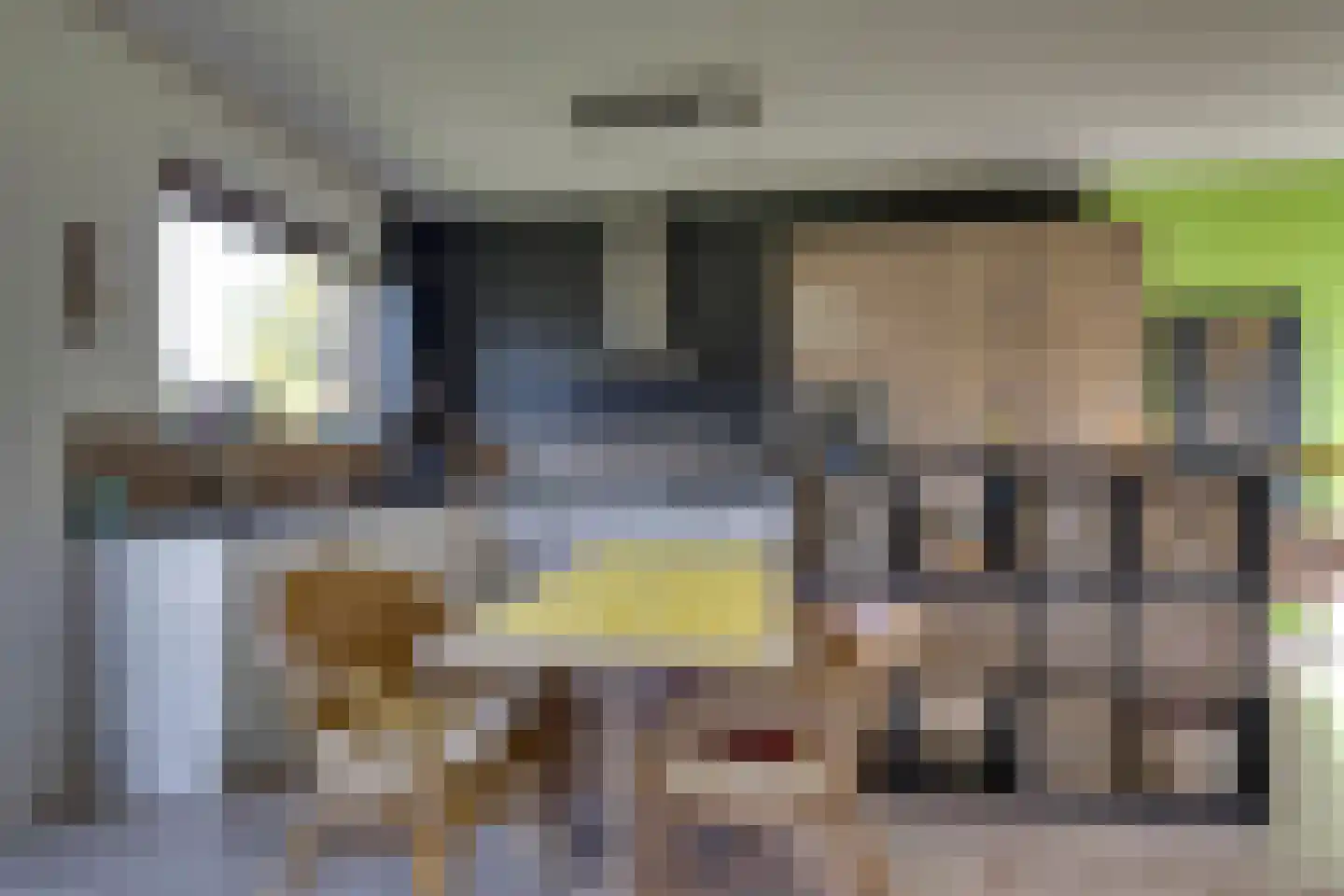 De Uitvang 31 Bergeijk thumbnail 14