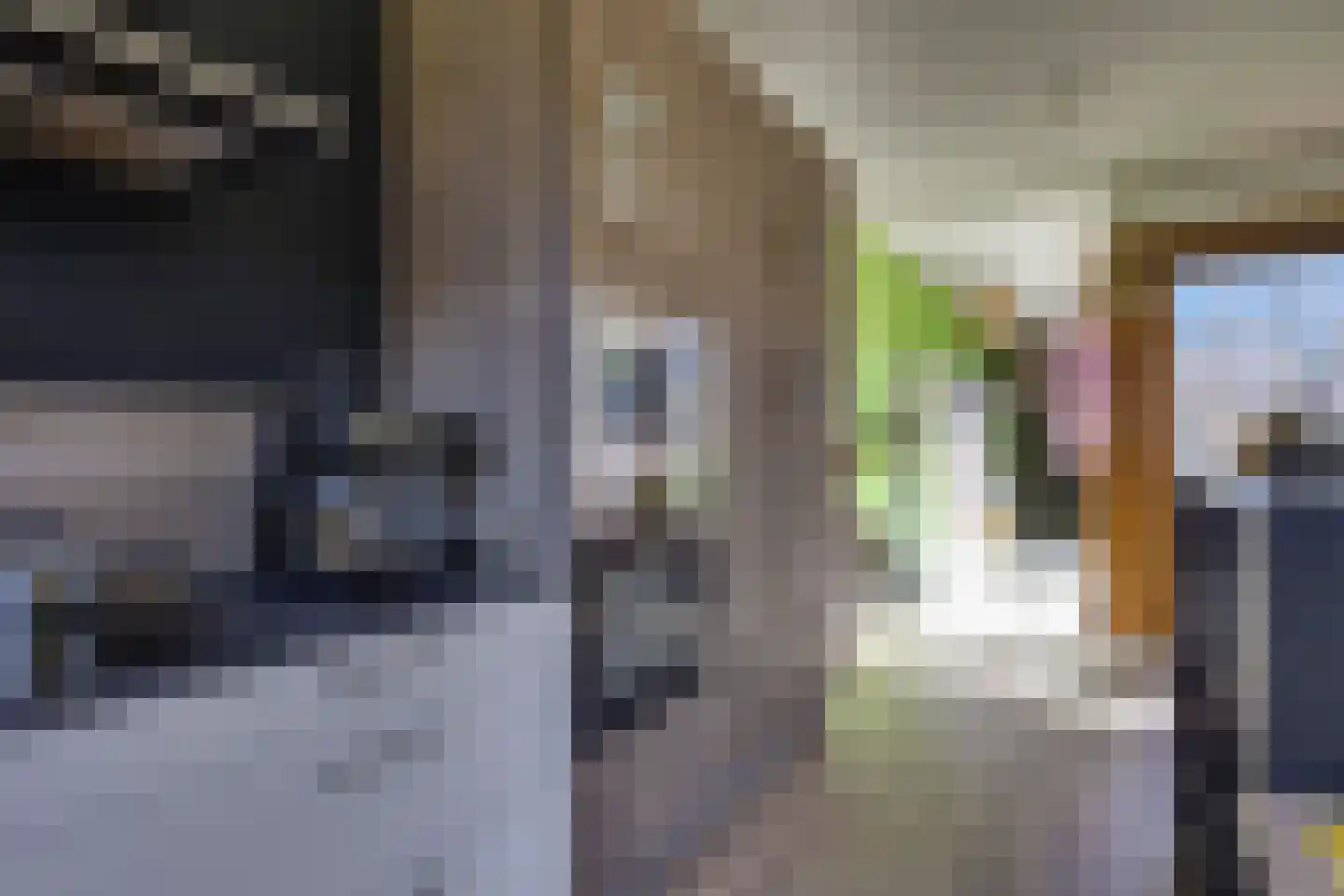 De Uitvang 31 Bergeijk thumbnail 17