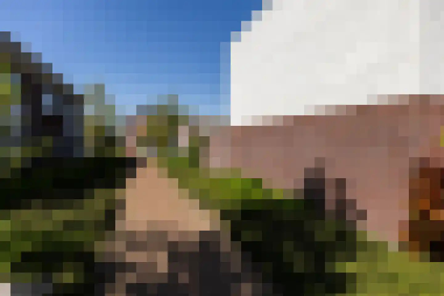 De Uitvang 31 Bergeijk thumbnail 32