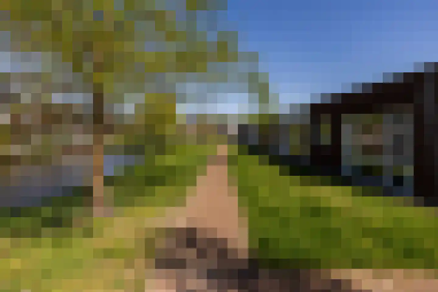 De Uitvang 31 Bergeijk thumbnail 33