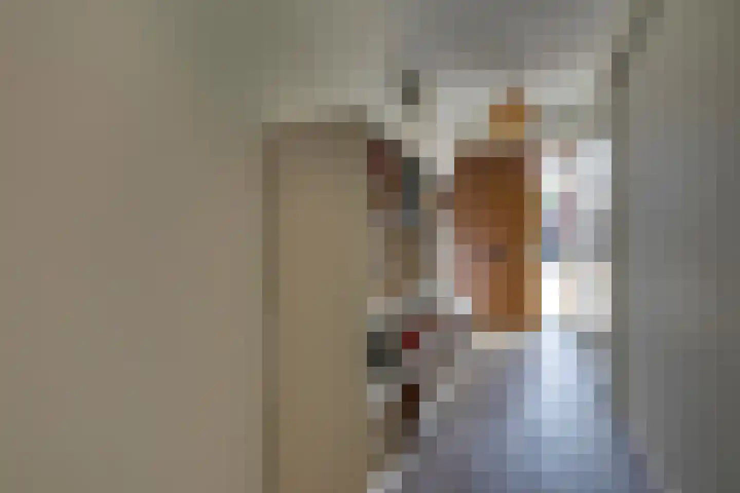 De Uitvang 31 Bergeijk thumbnail 4