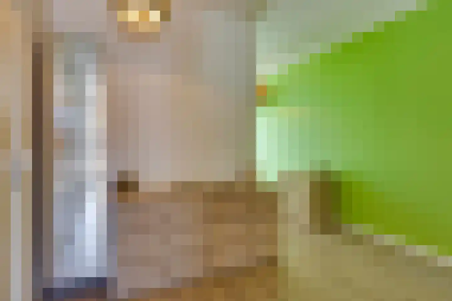 De Uitvang 31 Bergeijk thumbnail 5