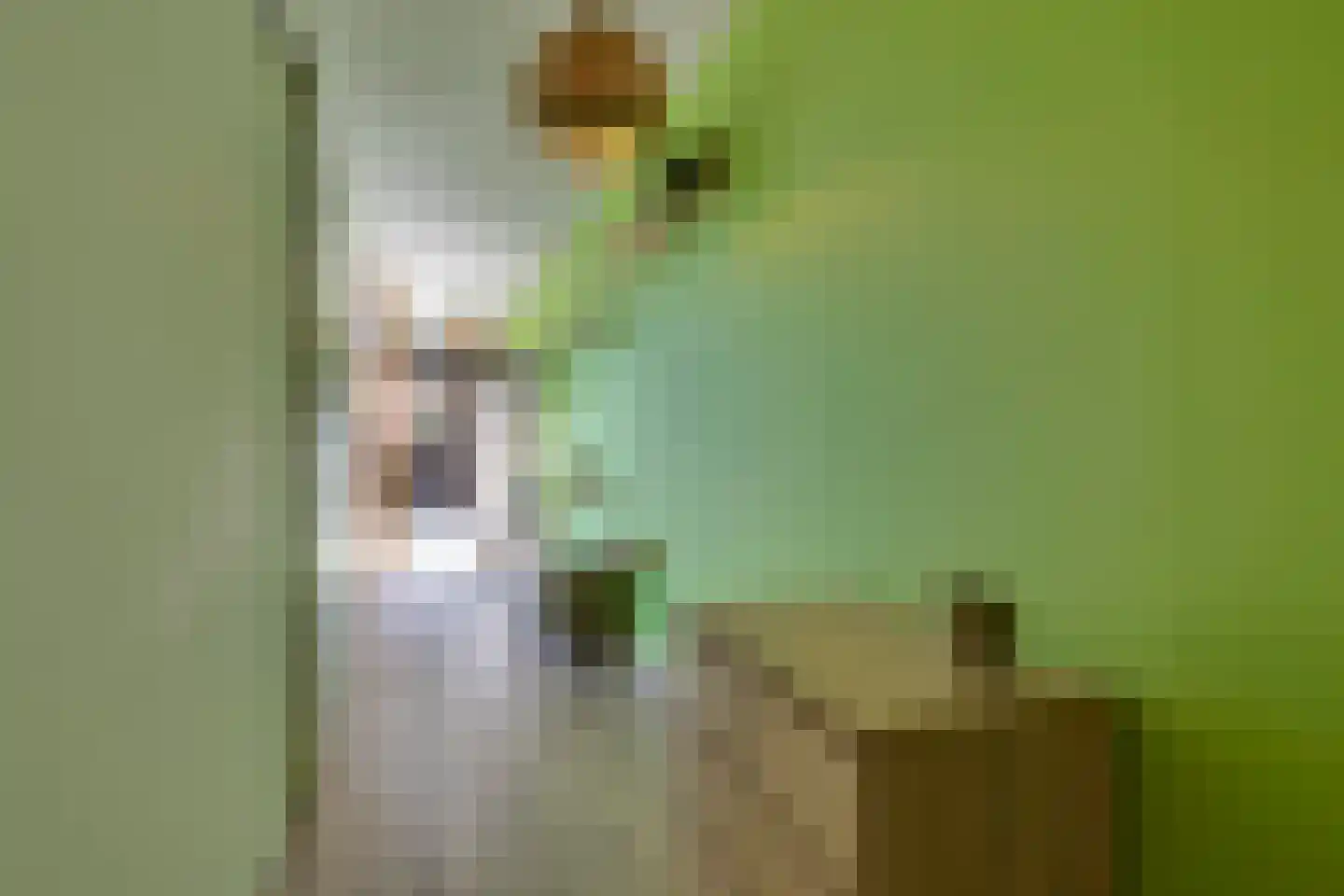 De Uitvang 31 Bergeijk thumbnail 6