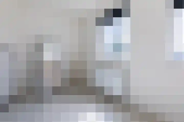 De Uitvang 38 a Bergeijk thumbnail 17
