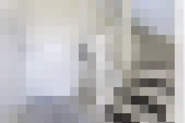 De Uitvang 38 a Bergeijk thumbnail 19
