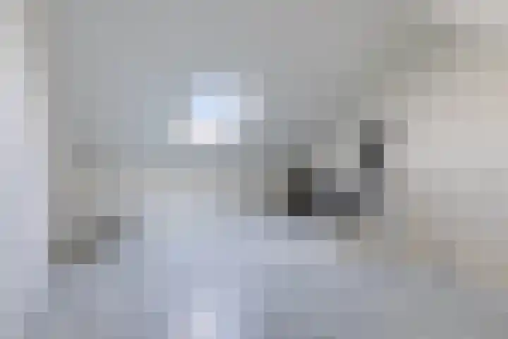 De Uitvang 38 a Bergeijk thumbnail 21