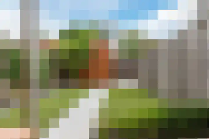 De Uitvang 38 a Bergeijk thumbnail 23