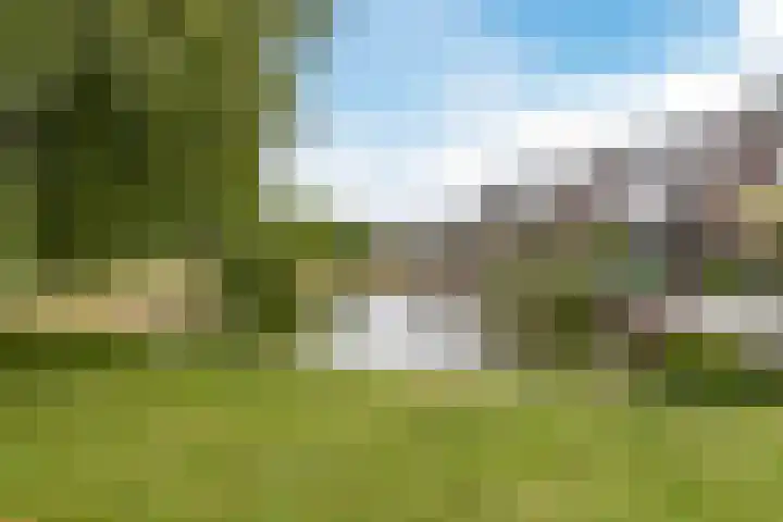De Uitvang 38 a Bergeijk thumbnail 26
