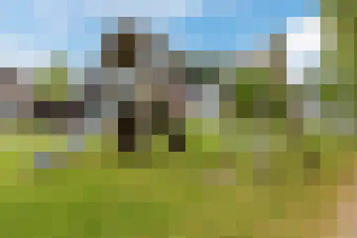 De Uitvang 38 a Bergeijk thumbnail 28