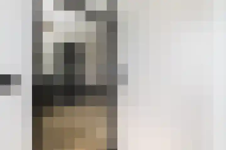 De Uitvang 38 a Bergeijk thumbnail 5