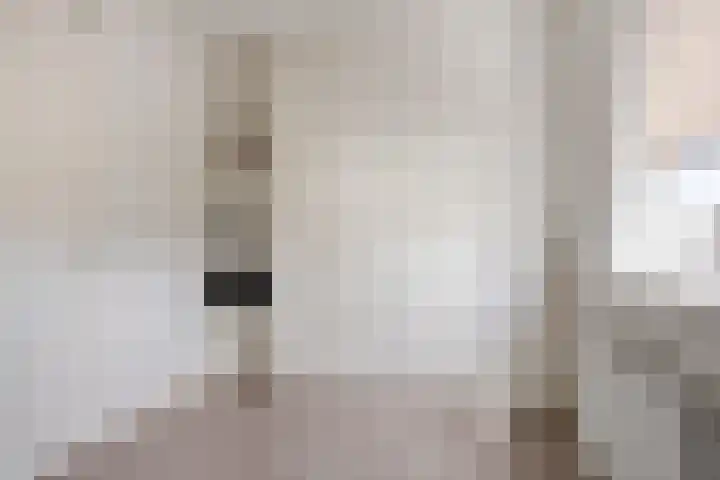De Uitvang 42 Bergeijk thumbnail 14