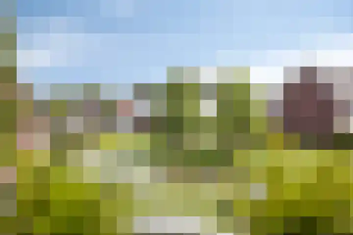 De Uitvang 42 Bergeijk thumbnail 15