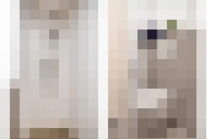 De Uitvang 42 Bergeijk thumbnail 17