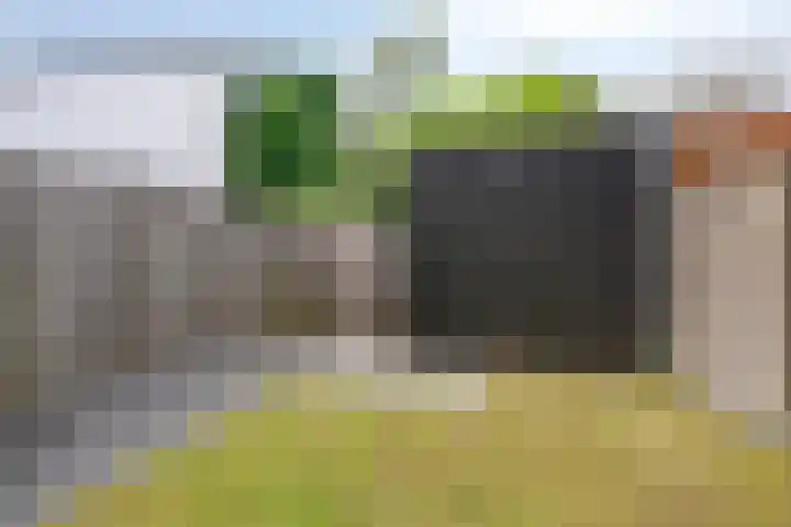 De Uitvang 42 Bergeijk thumbnail 21