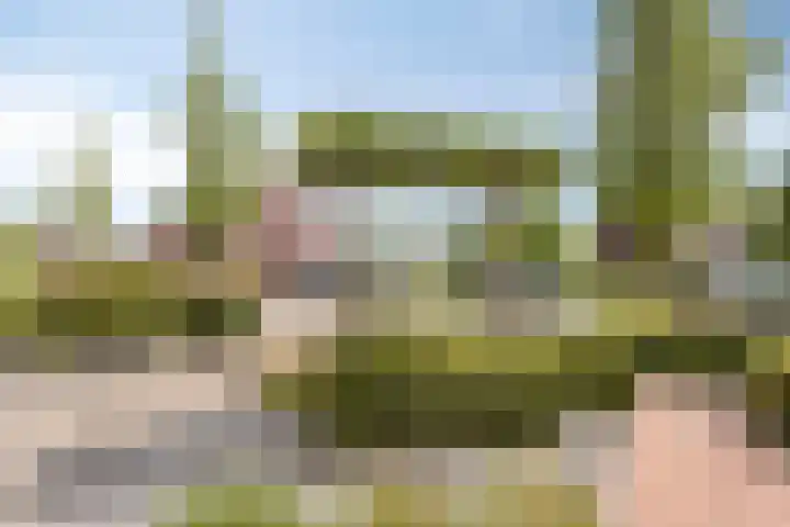 De Uitvang 42 Bergeijk thumbnail 25