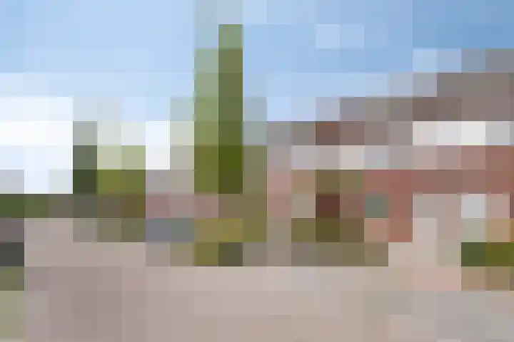 De Uitvang 42 Bergeijk thumbnail 26