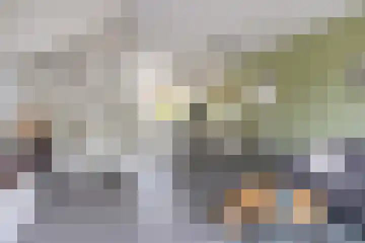 De Uitvang 42 Bergeijk thumbnail 4