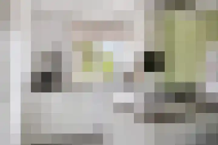 De Uitvang 42 Bergeijk thumbnail 6