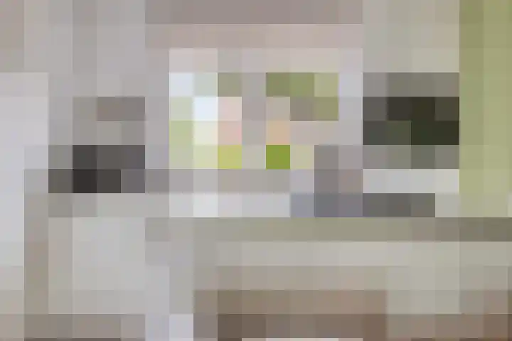 De Uitvang 42 Bergeijk thumbnail 8