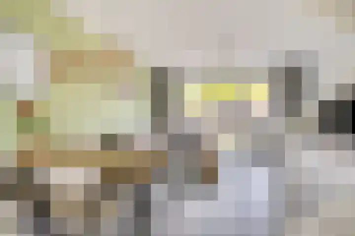 De Uitvang 42 Bergeijk thumbnail 9