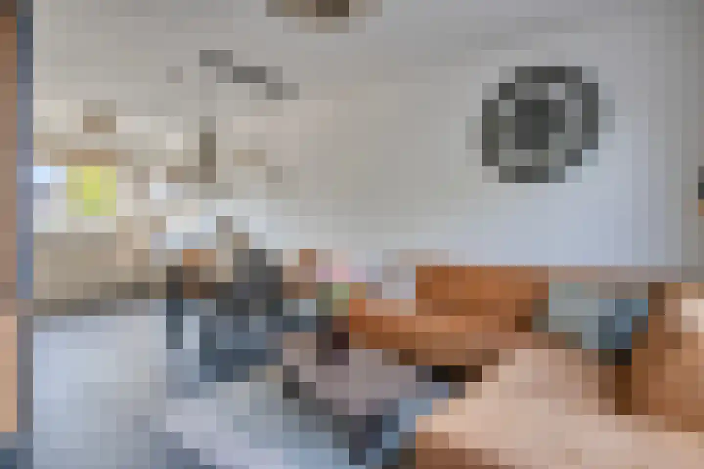 De Uitvang 46 Bergeijk thumbnail 13