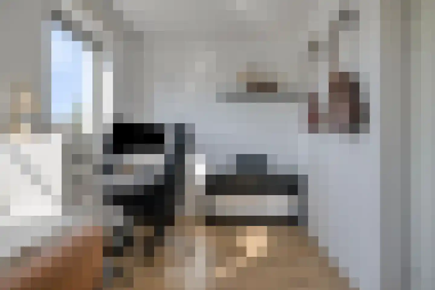 De Uitvang 46 Bergeijk thumbnail 23