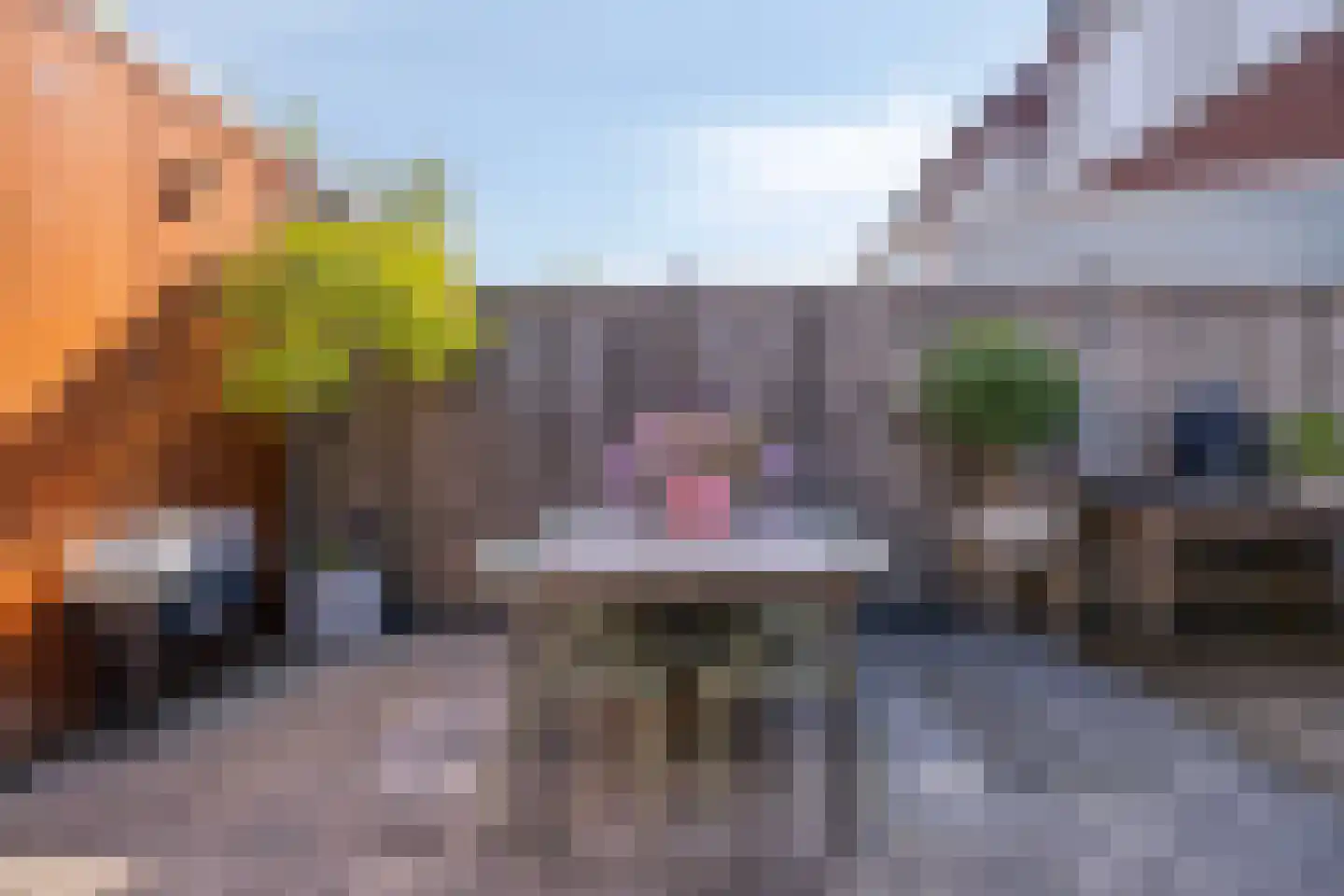 De Uitvang 46 Bergeijk thumbnail 30