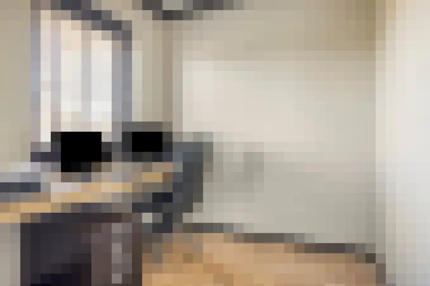 De Uitvang 54 Bergeijk thumbnail 16