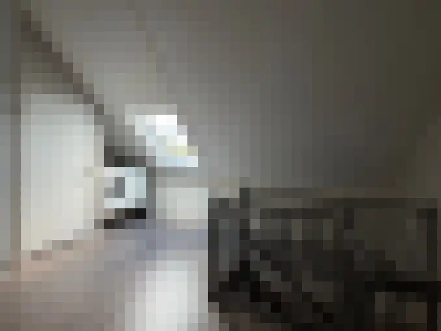De Uitvang 54 Bergeijk thumbnail 23