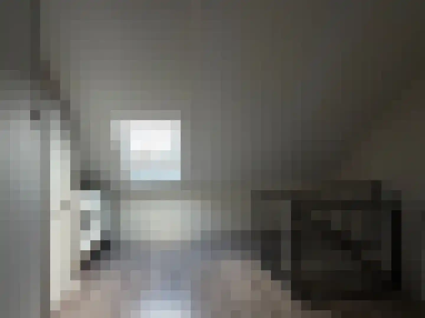 De Uitvang 54 Bergeijk thumbnail 24