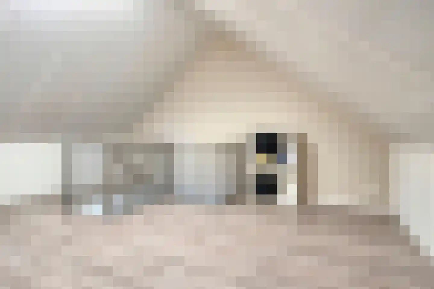 De Uitvang 54 Bergeijk thumbnail 26