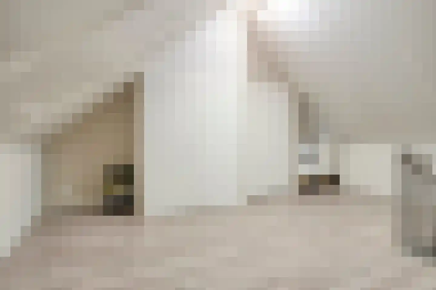De Uitvang 54 Bergeijk thumbnail 27
