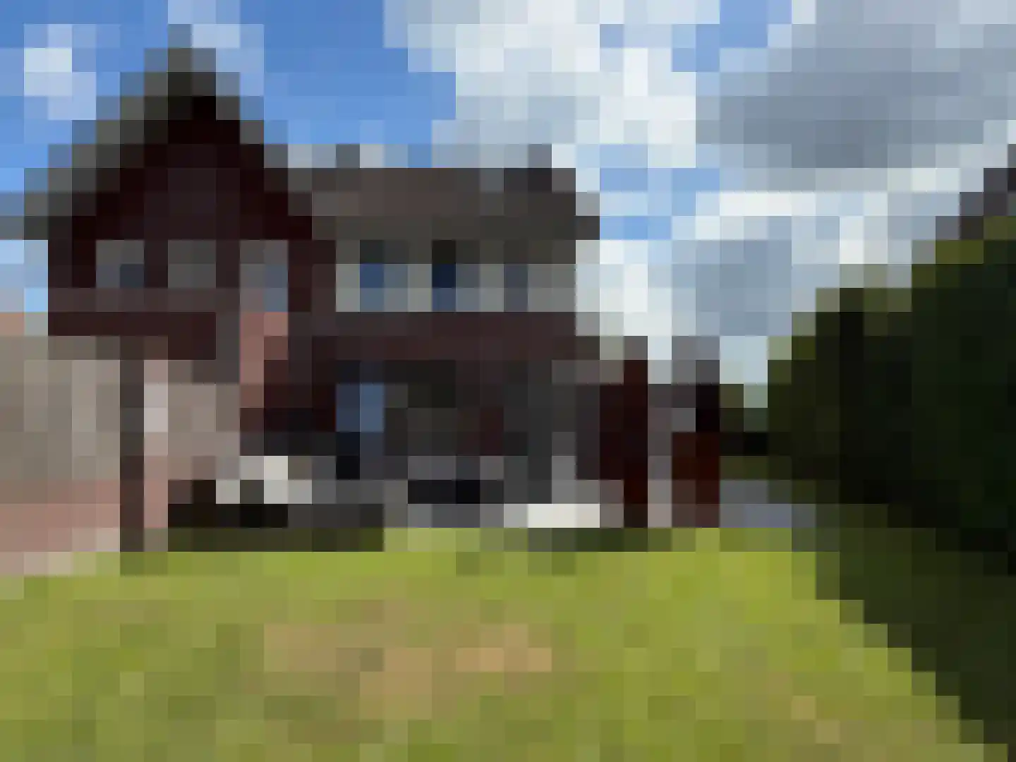 De Uitvang 54 Bergeijk thumbnail 32