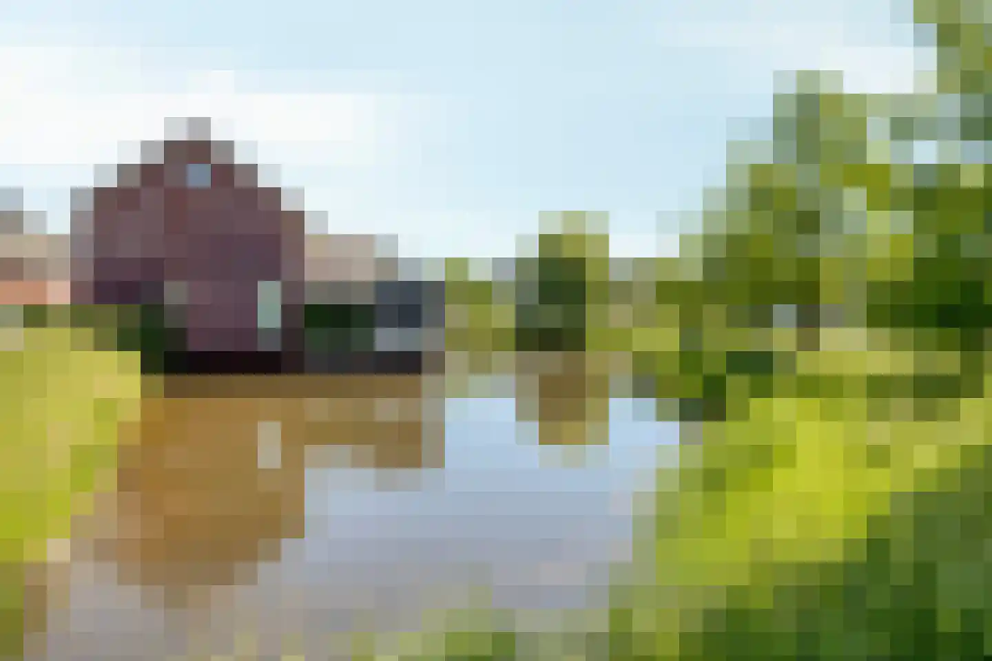 De Uitvang 54 Bergeijk thumbnail 34