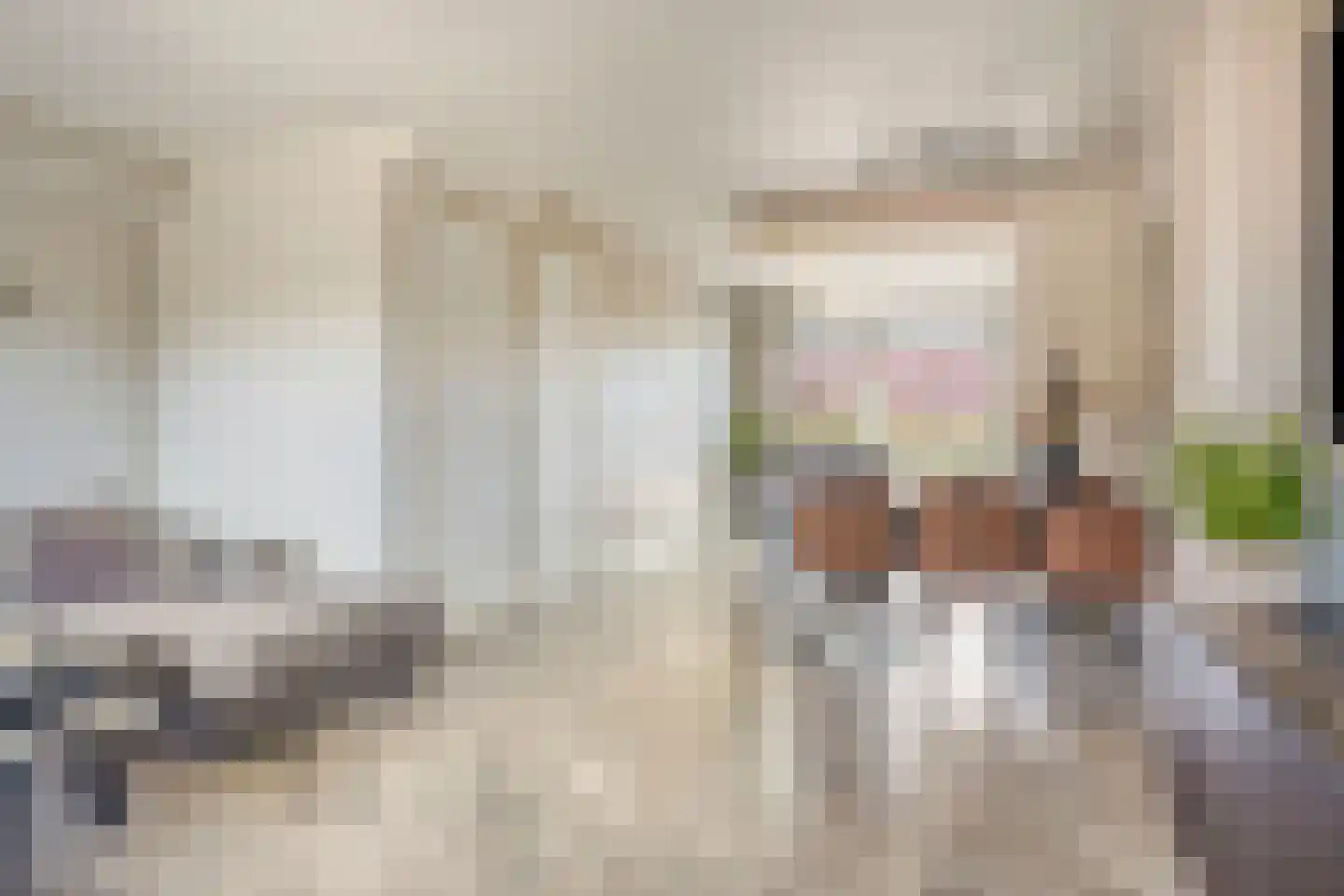 De Uitvang 54 Bergeijk thumbnail 4