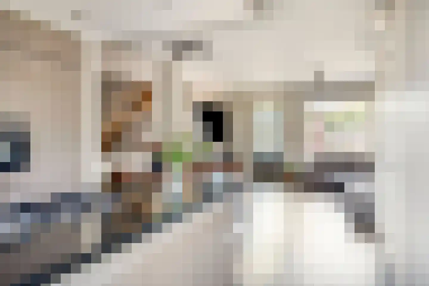 De Uitvang 54 Bergeijk thumbnail 9