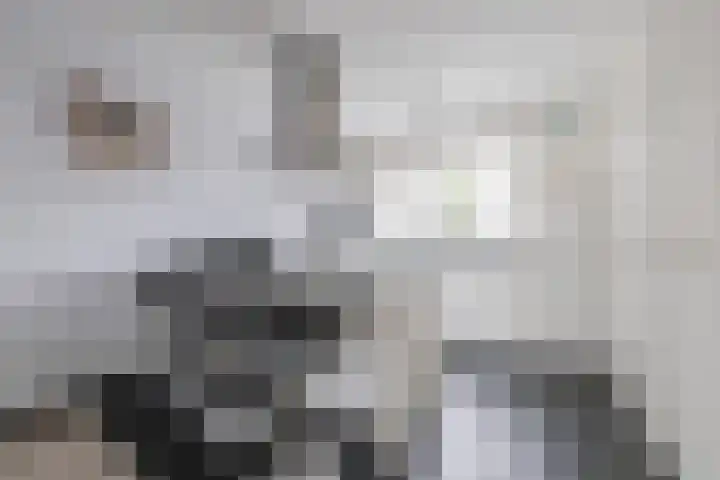 De Uitvang 78 Bergeijk thumbnail 10