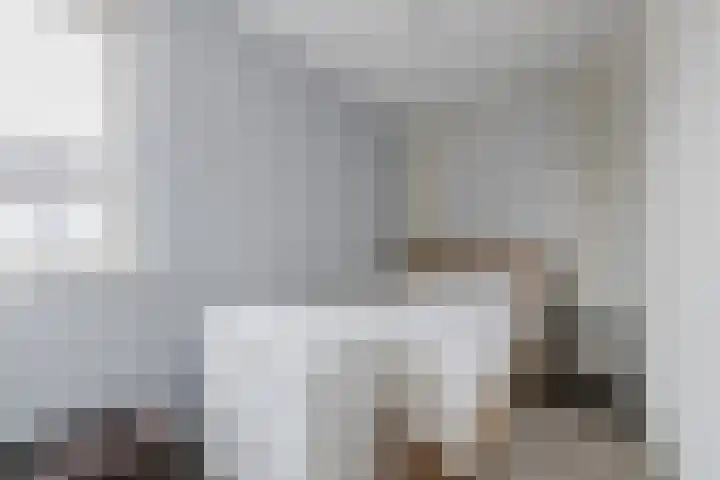 De Uitvang 78 Bergeijk thumbnail 13