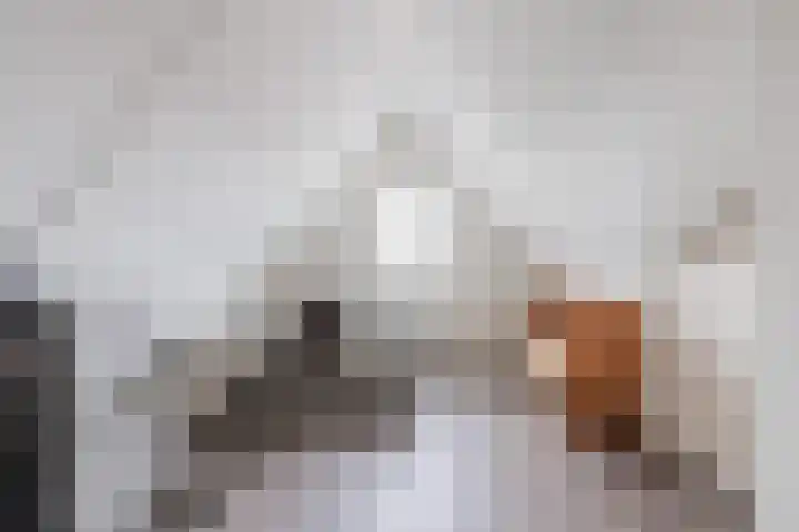 De Uitvang 78 Bergeijk thumbnail 18